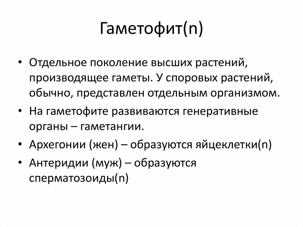 Поколение гаметофит представлено