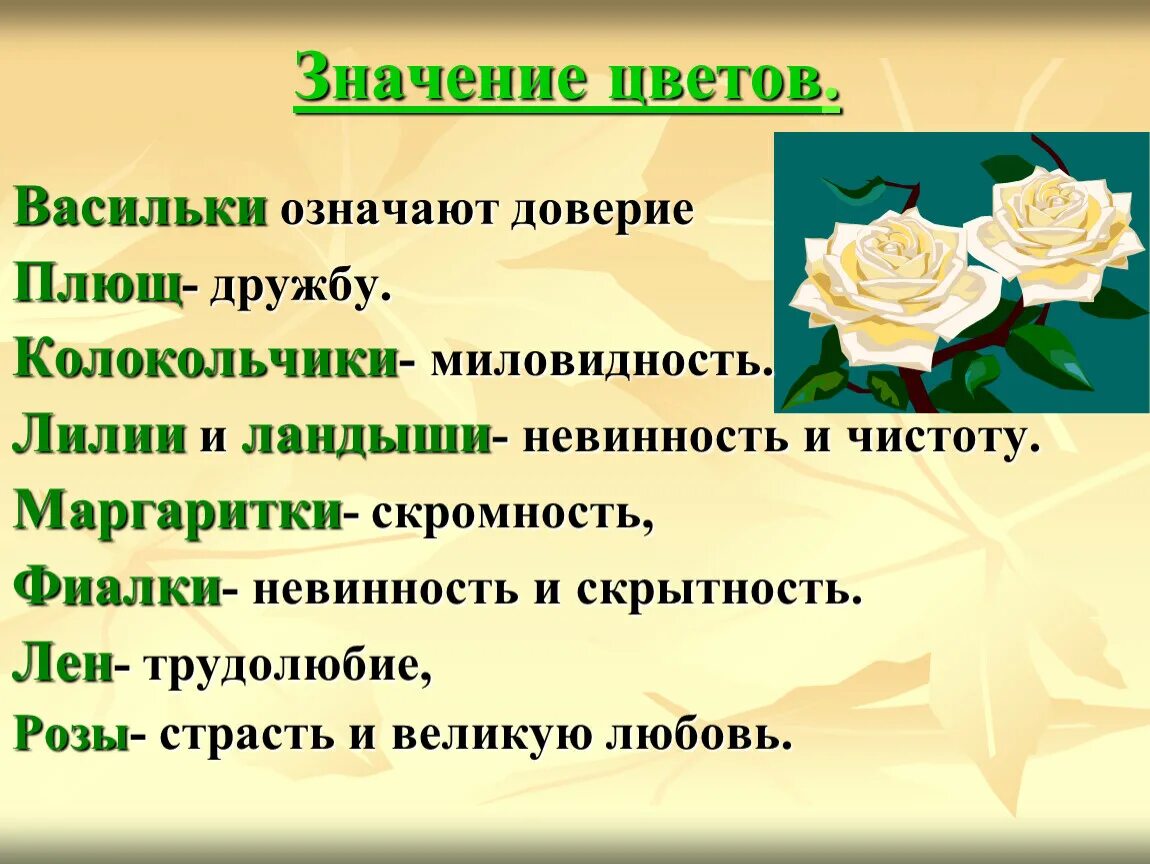 Цвети значение слова. Значение цвета в букете. Значение цветка. Значение цветов в букете. Цветы обозначение цветов.