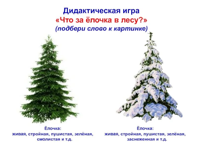 Увидел я необыкновенную елку росла