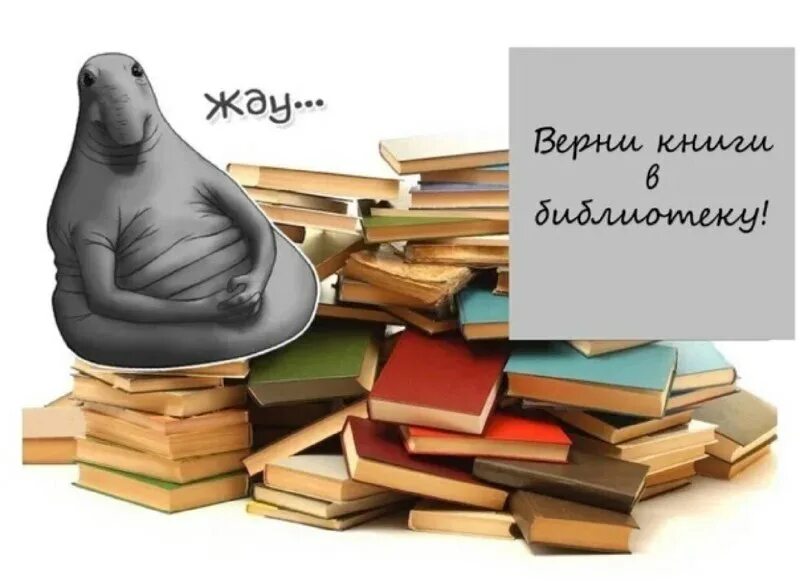 Как вернуть книгу