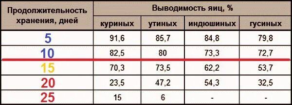 Срок хранения инкубационного яйца