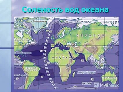 Карта соленость поверхностных вод мирового океана