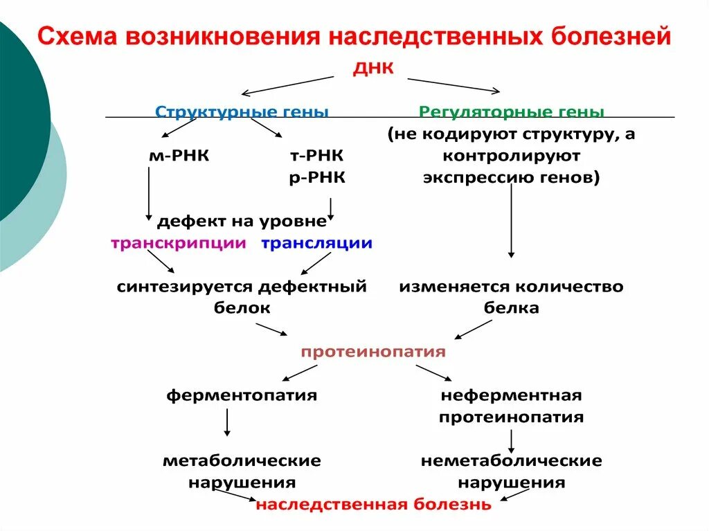 Наследственные болезни кратко. Схемы обследования для выявления наследственных болезней. Наследственные болезни. Профилактика наследственных заболеваний. Наследственные болезни человека профилактика.