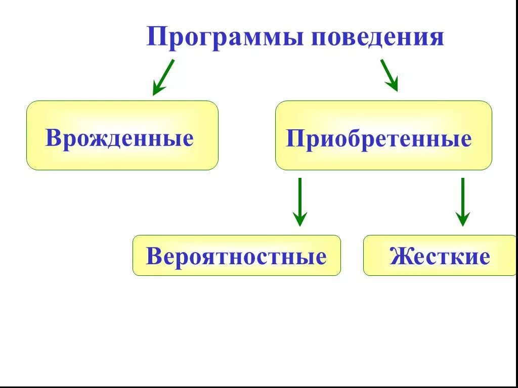 Приобретенные программы поведения. Врожденные и приобретенные программы поведения. Врожденные и приобретенные формы поведения. Приобретенные программы поведения таблица.