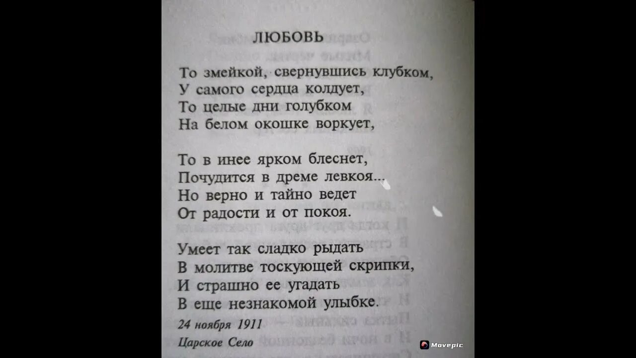 То змейкой свернувшись. Ахматова любовь стих то змейкой. Ты ошибся любовь это ад. Ахматова любовь это ад.