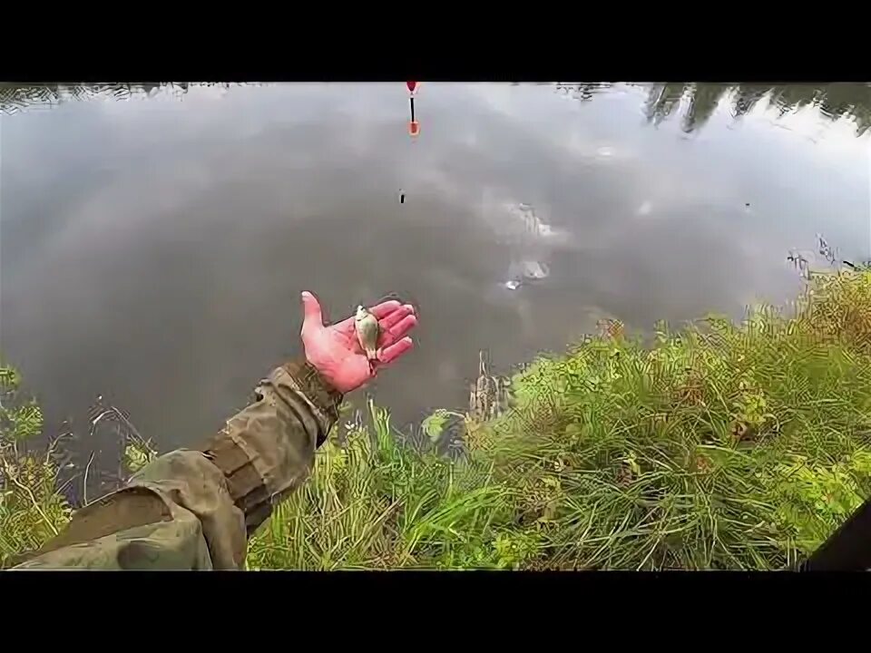 Рыбалка в дождь. Язь на спиннинг. Река колба красноярский край рыбалка. Ловится ли берюк летом. Река перетна рыбалка.
