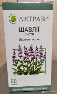Шалфей для женщин противопоказания