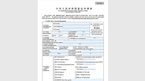 Виза в китай пример заполнения анкеты 2024