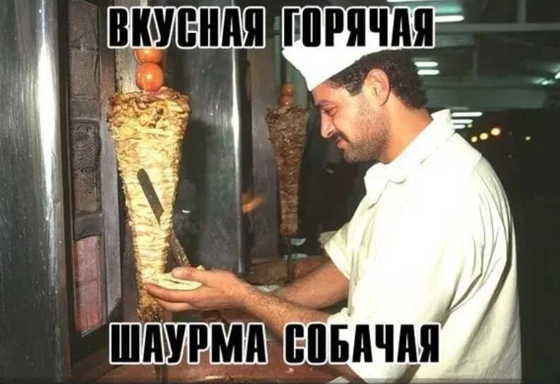 Лучше накормить собаку, чем подать бездомному! Прокотьев Дзен