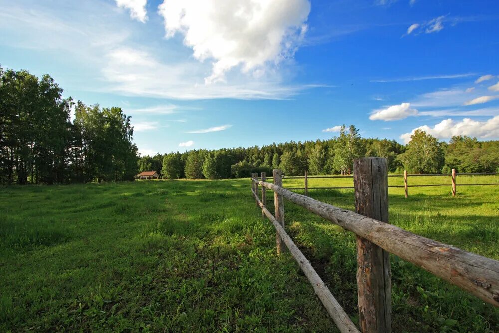 Местоположение лесного участка сысертского. Леса сысерти. Золотое поле сысертский район. Кп заповедник сысерть. Коттеджный посёлок заповедник сысерть.