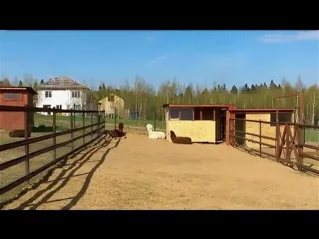 Походкино