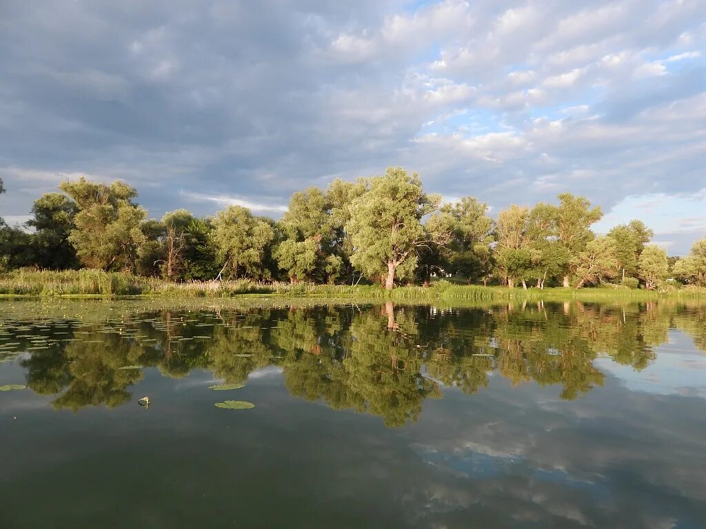 Борисоглебск хоперский заповедник. Хоперск речка воронежская область. Хоперский заповедник воронеж. Хоперский заповедник воронежской. Хопёрский заповедник река хопер.