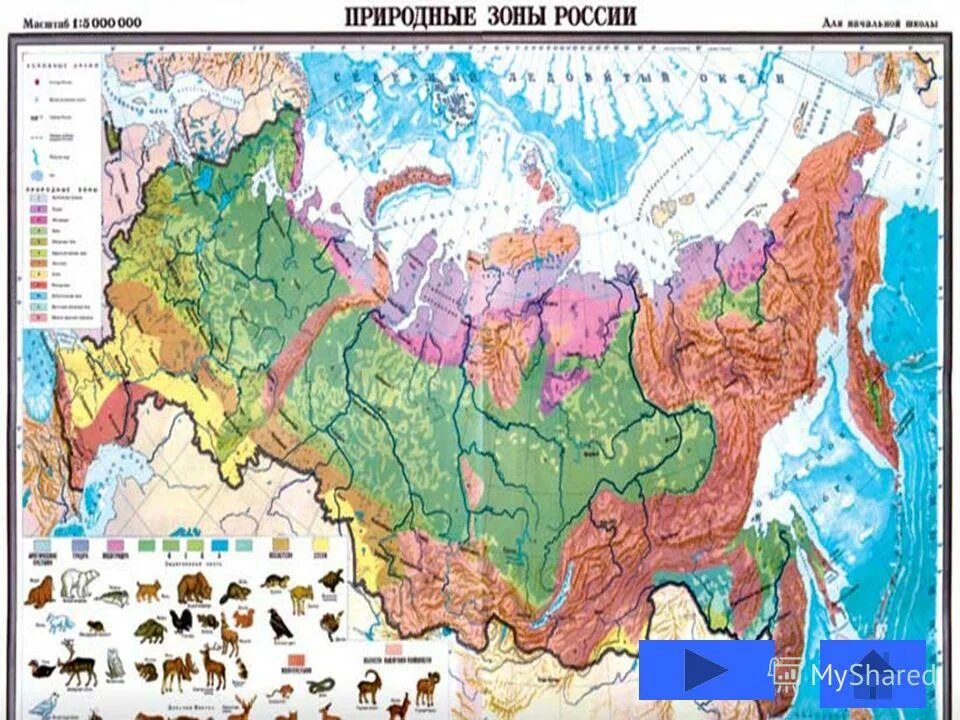 природные зоны россии на карте с названиями. географическая карта россии с природными зонами. географическая карта россии с природными зонами. зоны степи степной лунь. карта природных зон россии в хорошем качестве.