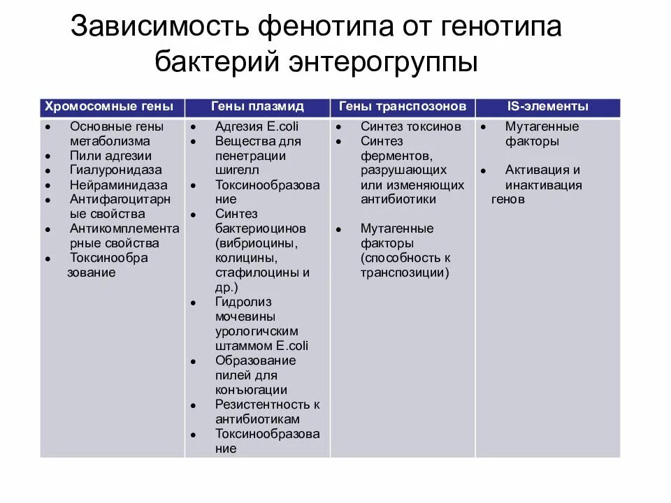 Генотип и фенотип бактерий. Генотип и фенотип микроорганизмов. генотип и фенотип бактерий микробиология. зависимость фенотипа от генотипа.