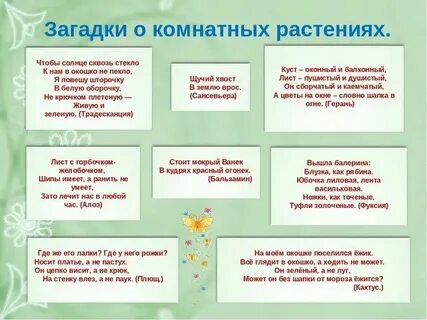 Загадки про комнатные растения для детей
