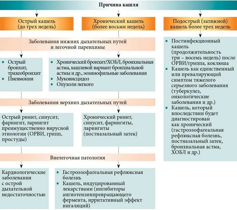 Длительный кашель без температуры у взрослого причины. Причины кашля. Причины кашля у ребенка. Этапы лечения кашля. Сухой кашель у ребенка причины.