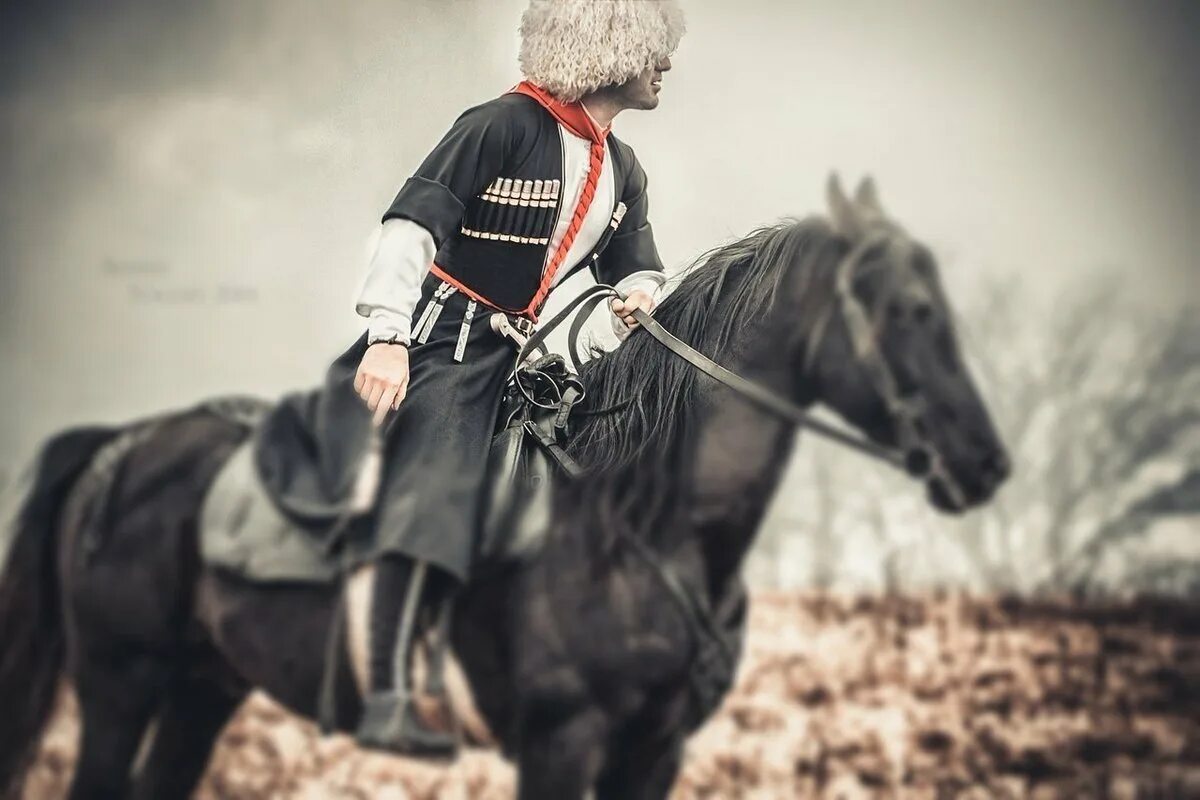 Рядом с черкесском. Абрек Черкес. Джигит Черкес. Всадник Черкес. Всадник джигит.