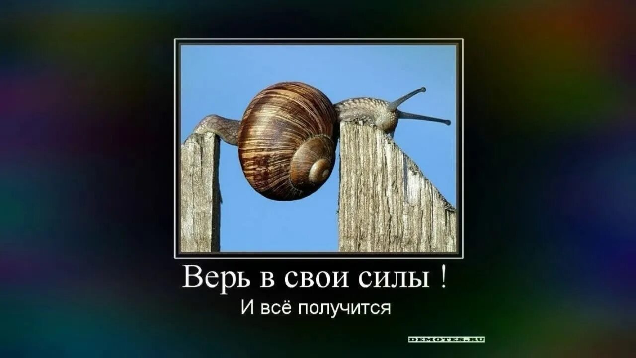 Все получится. Верь в свои силы и все получится. Все у нас получится!. Все получится прикол.