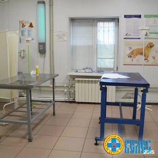 Велес ярославль