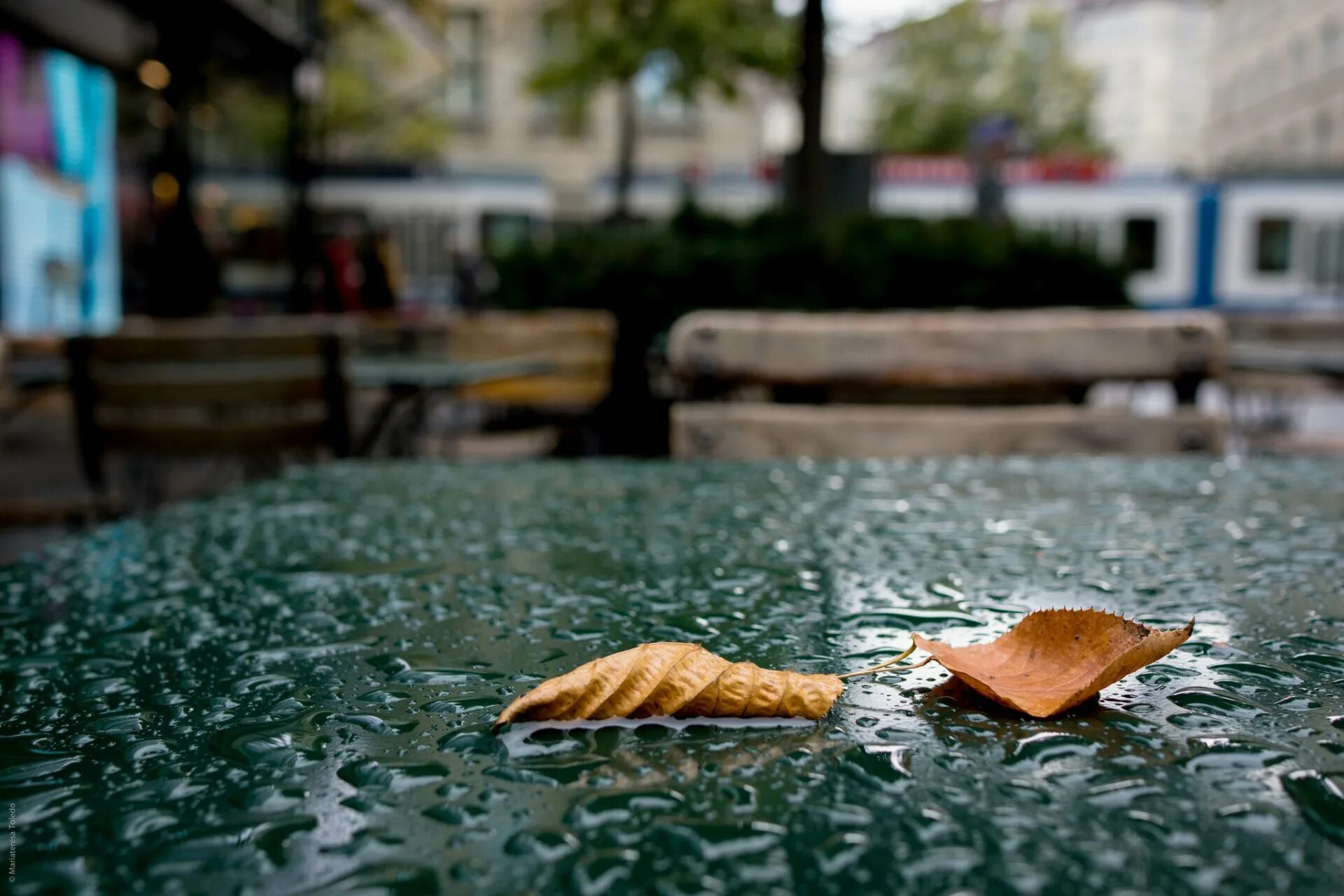 Rain cafe