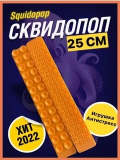 Сквит