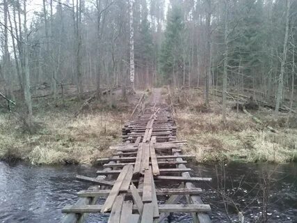 Петяярви ленинградская область