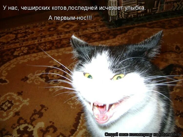 Улыбка ребенка. Улыбка ребенка. Мотиватор улыбка. Стихи про зеркало для детей. Ты знаешь с первой улыбки с первого.