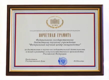 Рамки государственная дума