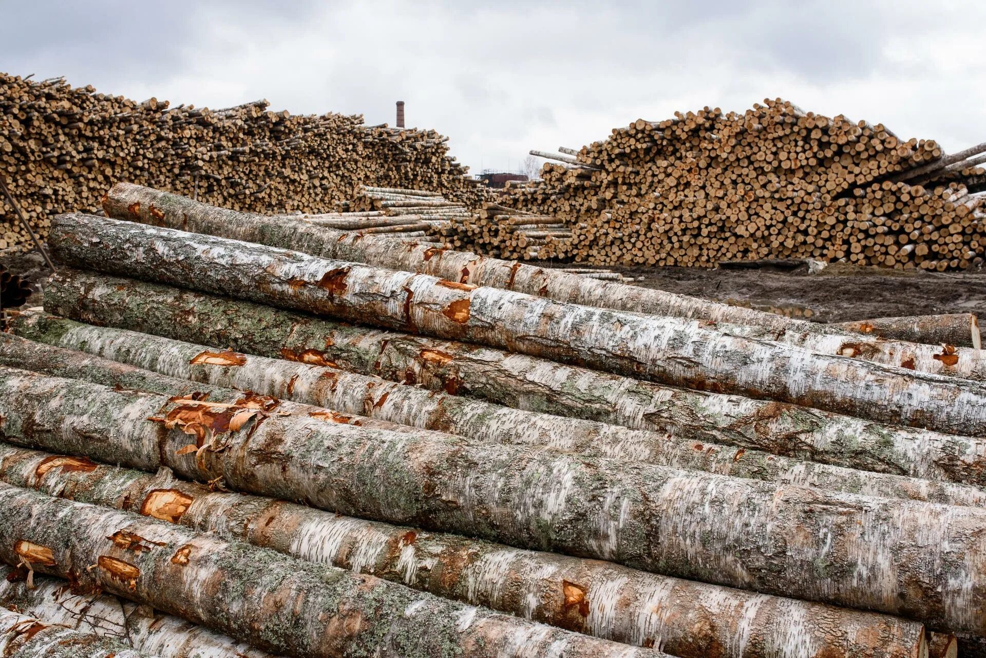 Экологические преступления примеры. Экологические преступления. Экологическая преступность. Последствия экологических преступлений. Проблема экологических преступлений.