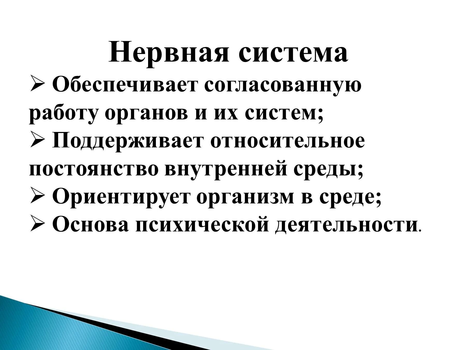Значение нервная система 8 класс. Значение нервная система 8 класс