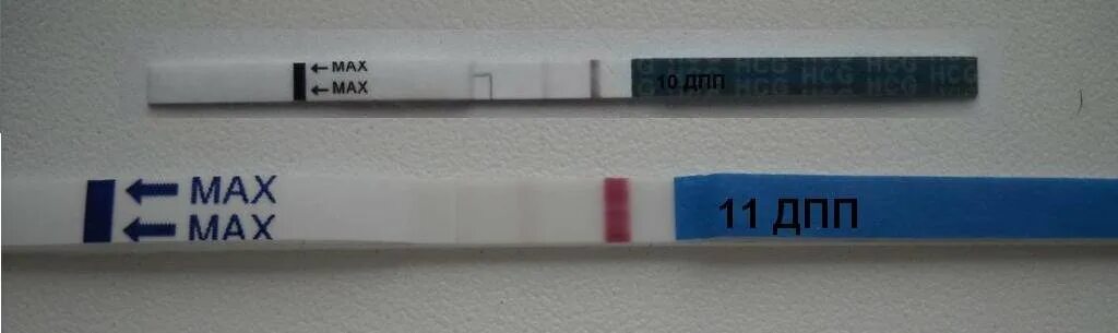 10 ДПП тест слабоположительный. 11 ДПП тест. Тест на 11 ДПП пятидневок. 11 ДПП пятидневок тест отрицательный.