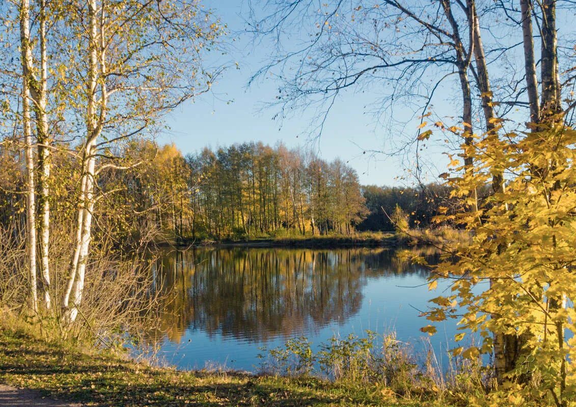 Октябрьские картинки. Природа день Октябрьский. Солнечного Октябрьского дня. Пейзаж Октябрьский день. Октябрьский день фото.