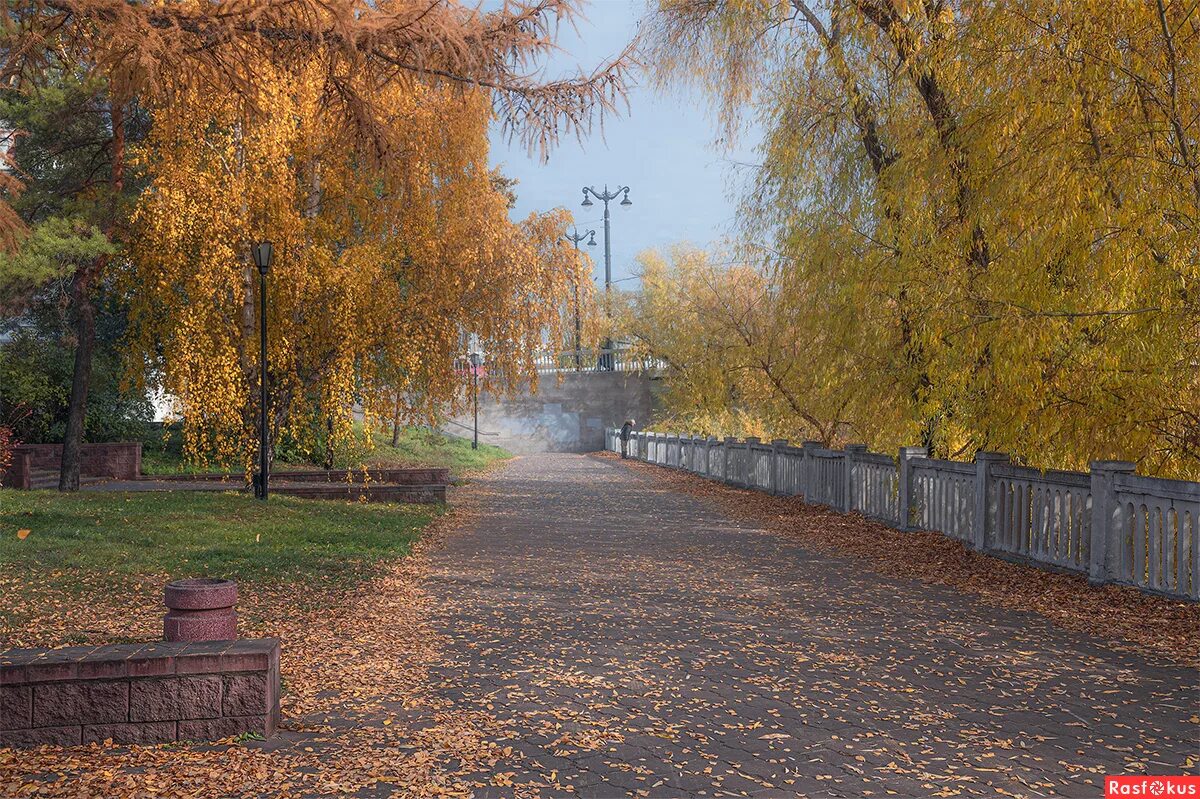 Аллея в сыктывкаре парк. Кировская аллея кандалакша. Улица уверова кандалакша. Кировская аллея кандалакша. Киров парк победы аллея.