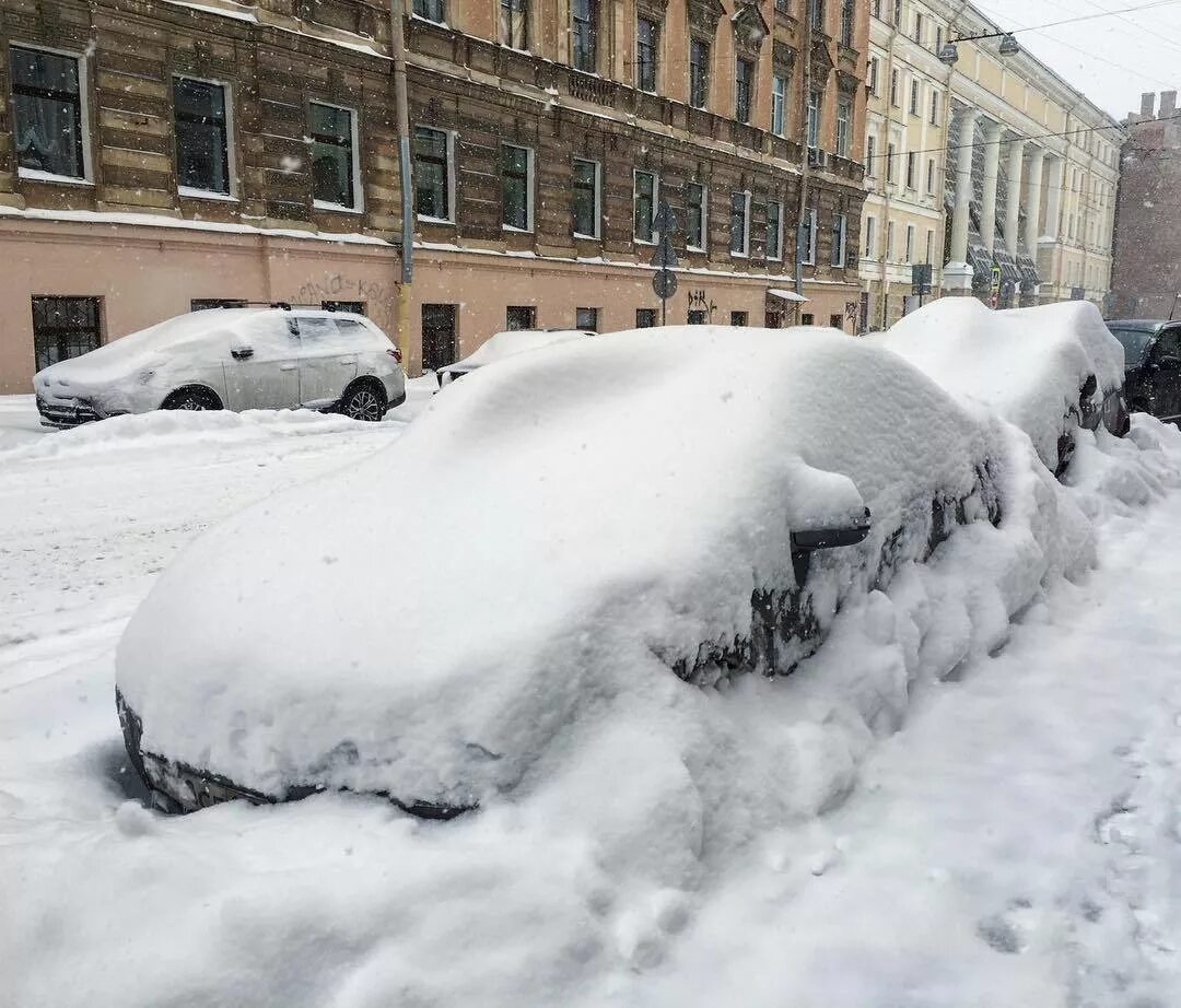 Питер завалило снегом. 20 См снега. Снежная 20. 20 Сантиметров снега.