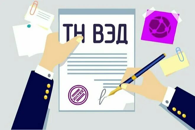 Tnved info. Тн ВЭД картинки. Тн ВЭД ЕАЭС. Товарная номенклатура внешнеэкономической деятельности ЕАЭС. Товарная номенклатура картинки.