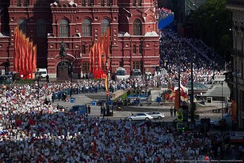 Бессмертный полка москва