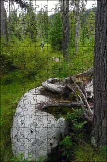 Камень в корне