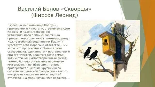 А и куприн скворцы читать. Белов скворцы.