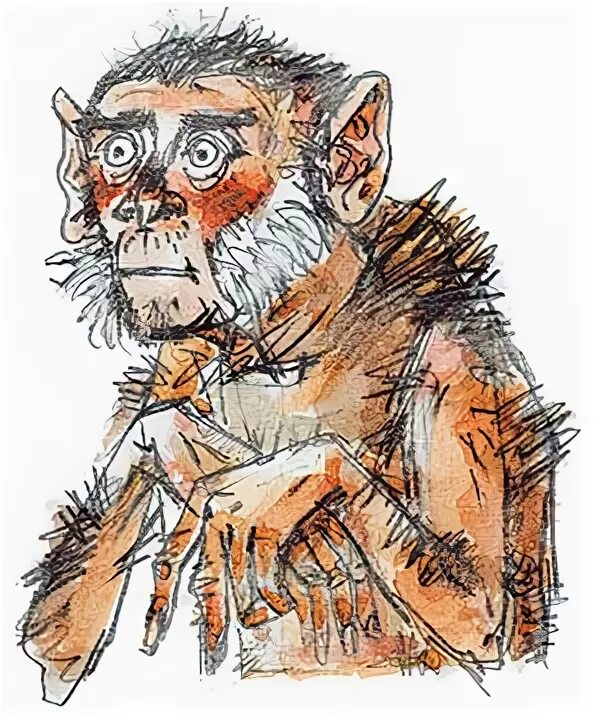 Рассказ приключения обезьяны. Зощенко Обезьяний язык иллюстрации. Зощенко приключения обезьянки.