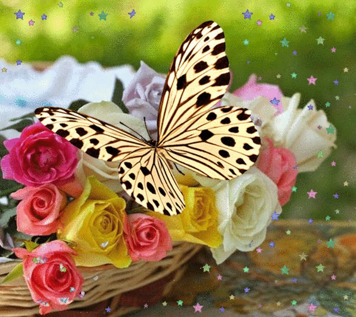 Бабочка на цветке. Красивые бабочки. Бабочки в цветах. Красивый букет с бабочками. Красивые цветы с бабочками