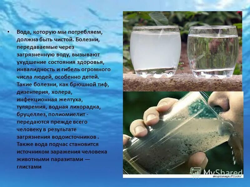 Простейшие вызывают воды