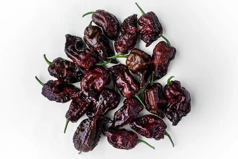 World pepper