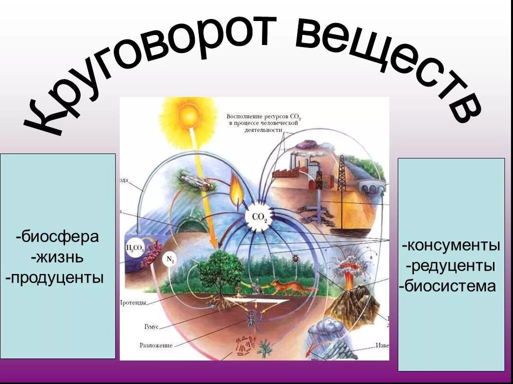 Круговорот веществ в биосфере. Круговорот в биосфере. Жизнь в биосфере. Круговорот веществ и энергии в биосфере. Круговорот благих намерений