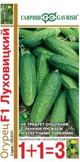 Описание огурцов луховицкие