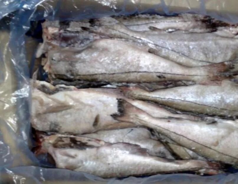 Сколько варить пикшу