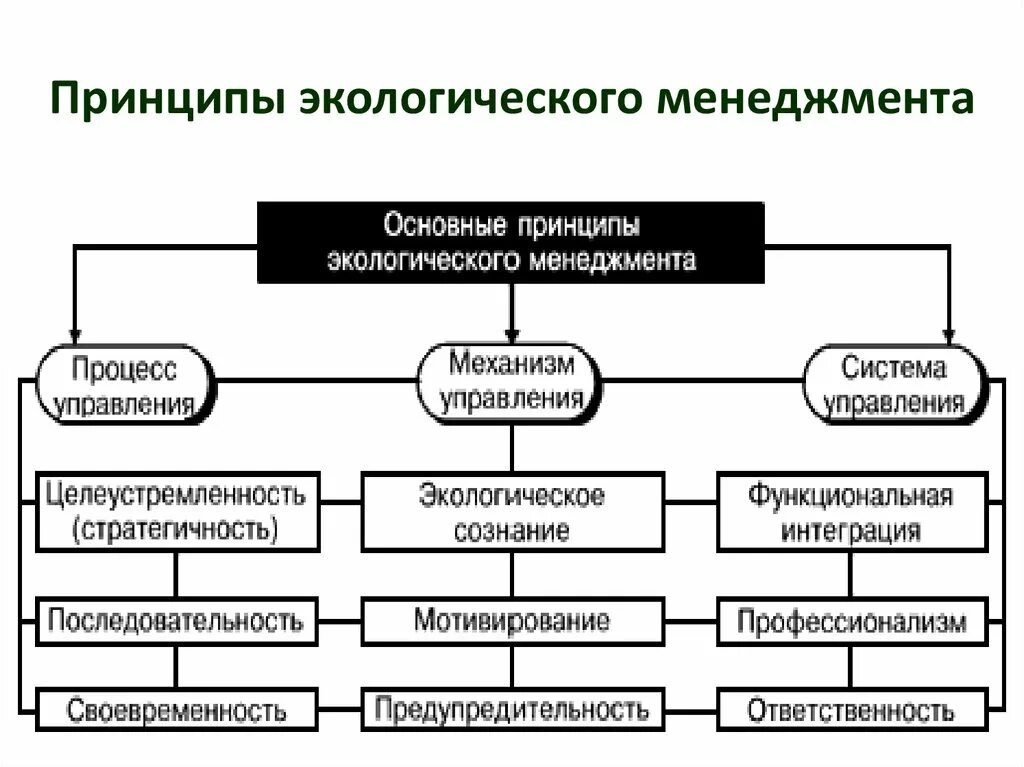 Руководящий принцип. Основные принципы экологического менеджмента. Основные принципы системы экологического менеджмента. Основным принципом экологического менеджмента?. Система экологического менеджмента схема.