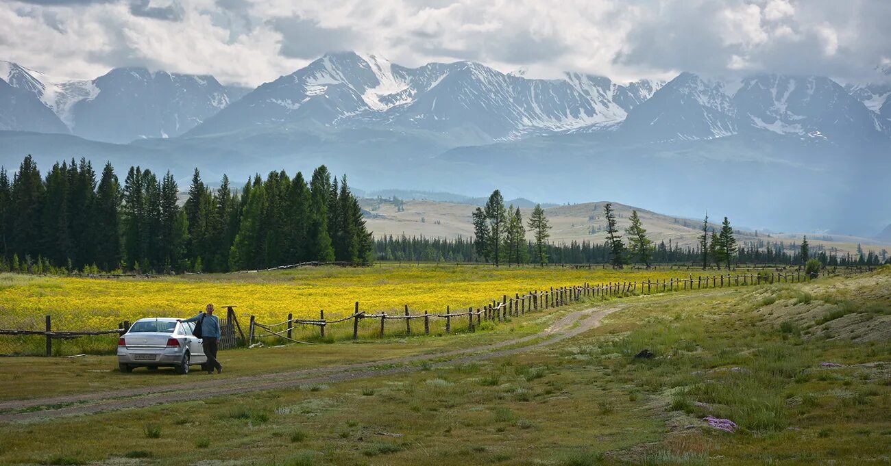 Курай Алтайский край. Курай горный Алтай. Алтай курай горы.