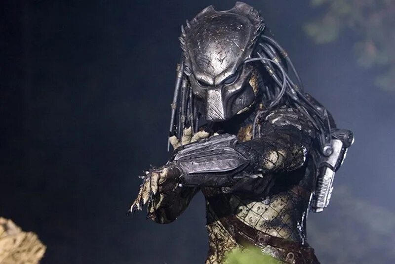 Получить хищника. Хищник 2008. Хищник предатор. Чужой 2004. Получить хищника.