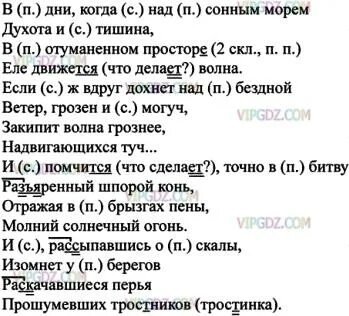 Русский язык 8 класс упражнение 325
