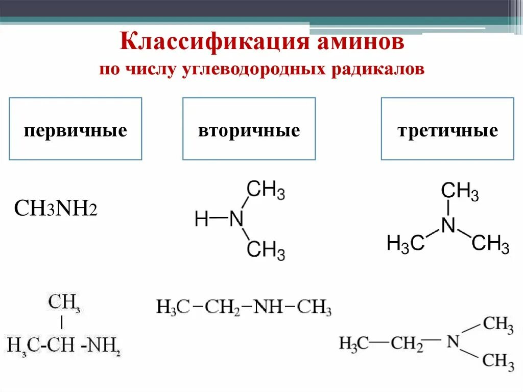 Радикалы углеводородов. Классификация Аминов по числу углеводородных радикалов. Амины классификация Аминов. Классификация Аминов по количеству радикалов. Углеводородный радикал.